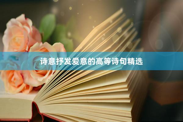 诗意抒发爱意的高等诗句精选