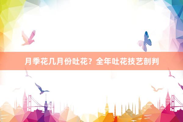 月季花几月份吐花？全年吐花技艺剖判