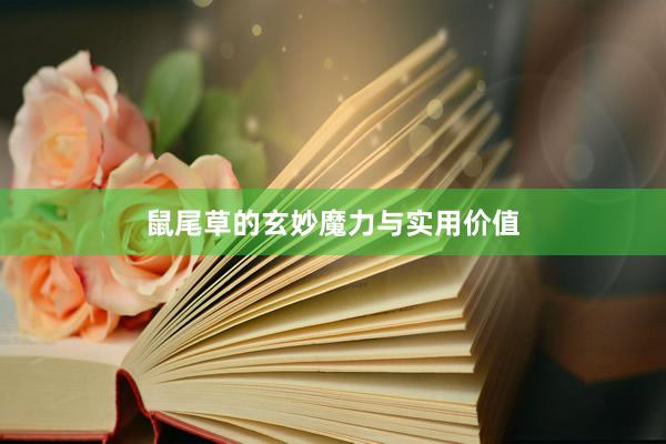 鼠尾草的玄妙魔力与实用价值