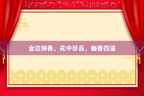 金边瑞香，花中珍品，幽香四溢