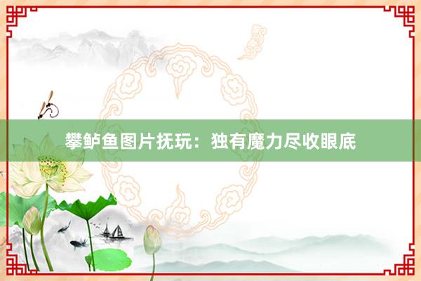 攀鲈鱼图片抚玩：独有魔力尽收眼底